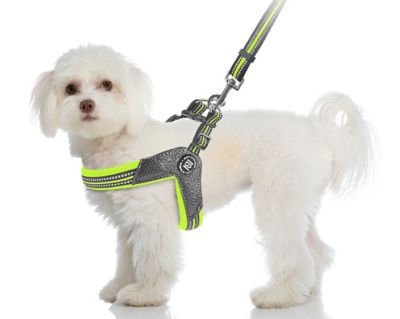 Zippy Dynamics STRIDE Adjustable Step-In Dog Harness, Green, Large