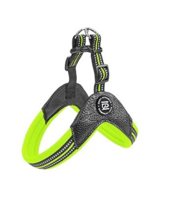 Image showing  STRIDE Adjustable Step-In Dog Harness
