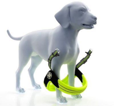 Image showing  STRIDE Adjustable Step-In Dog Harness
