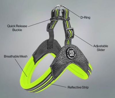 Image showing  STRIDE Adjustable Step-In Dog Harness