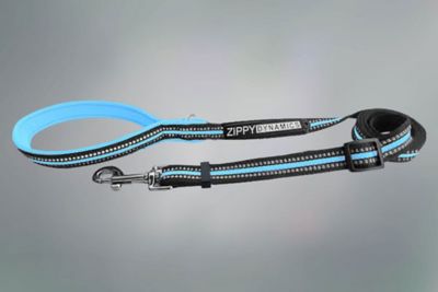 Zippy Dynamics STRIDE Adjustable Dog leash