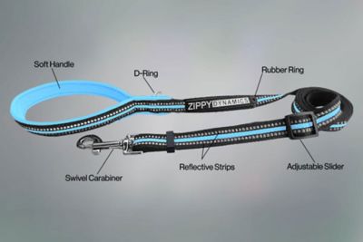 Image showing  STRIDE Adjustable Dog leash
