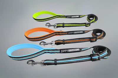 Image showing  STRIDE Adjustable Dog leash
