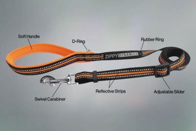 Image showing  STRIDE Adjustable Dog leash