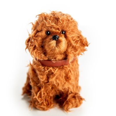 Image showing  Labradoodle Puppy Dog Pet with Leash and Collar for 18 in. Dolls