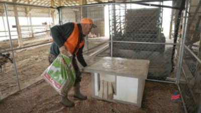 Image showing  Cedar Small Pet Bedding, 141L