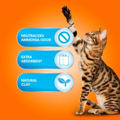 Image showing  Unscented Non-Clumping Clay Cat Litter