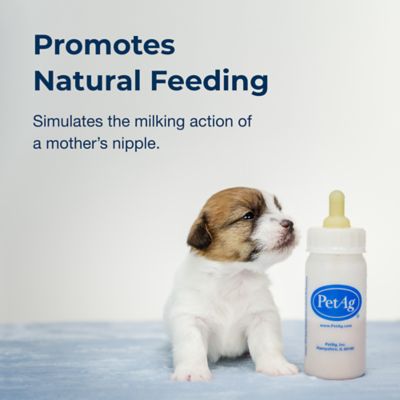 Image showing  Small Animal Nurser Bottle, 2 oz.