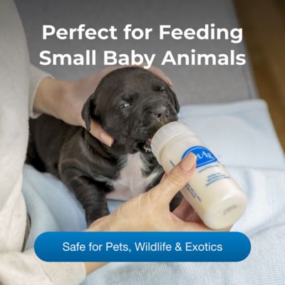 Image showing  Small Animal Nurser Bottle, 4 oz.