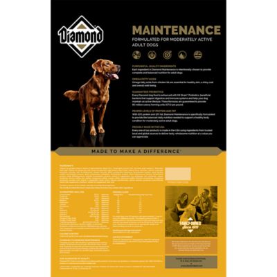 Image showing  Adult Maintenance Formula Chicken Recipe Dry Dog Food