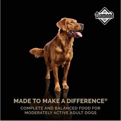 Image showing  Adult Maintenance Formula Chicken Recipe Dry Dog Food