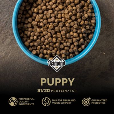 Image showing  Puppy Dry Dog Food