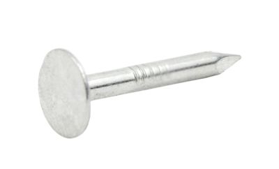 Image showing  1 lb. Roofing Nail Eg 1 in.