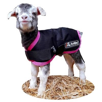 AniMac Waterproof Lamb Coat