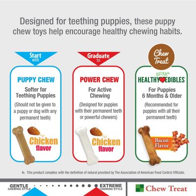 Image showing 5 th Nylabone Puppy Starter Kit with Puppy Chew Bone, Edible Bacon and Power Chew Chicken