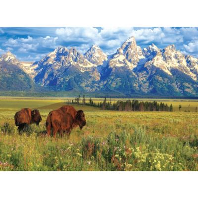 Image showing  Grand Teton National Park 1000 pc. Jigsaw Puzzle