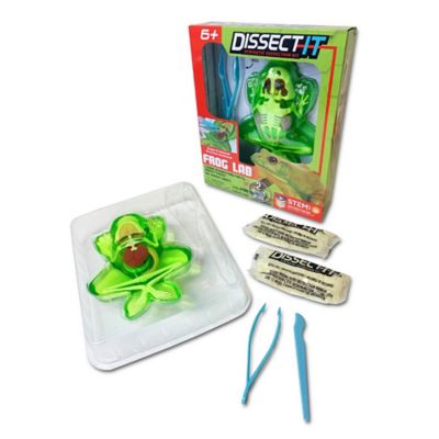 Image showing  Frog Lab, Synthetic Dissection Kit, Learning Guide, Kids Ages 6+