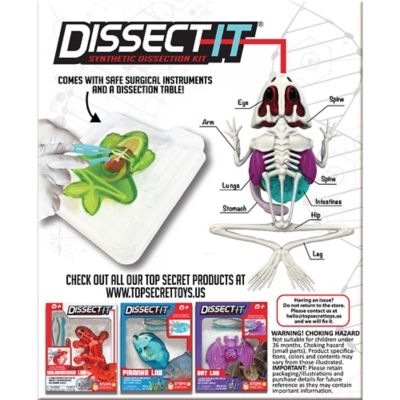 Image showing  Frog Lab, Synthetic Dissection Kit, Learning Guide, Kids Ages 6+