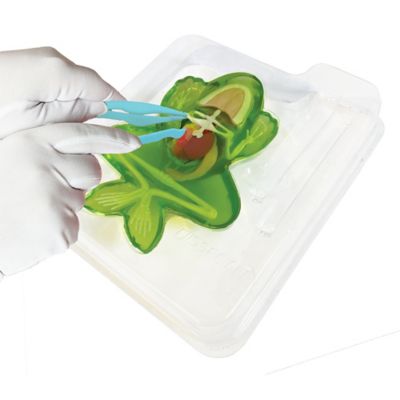 Image showing 6 th Dissect-It Frog Lab, Synthetic Dissection Kit, Learning Guide, Kids Ages 6+