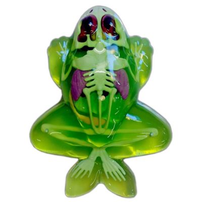 Image showing 7 th Dissect-It Frog Lab, Synthetic Dissection Kit, Learning Guide, Kids Ages 6+