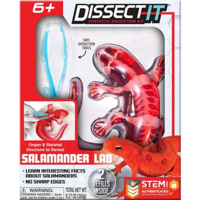 Dissect-It Salamander Lab, Synthetic Dissection Kit, STEM Learning Guide, Kids Ages 6+