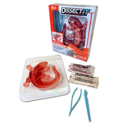 Image showing  Salamander Lab, Synthetic Dissection Kit, STEM Learning Guide, Kids Ages 6+