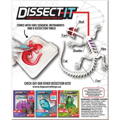 Image showing  Salamander Lab, Synthetic Dissection Kit, STEM Learning Guide, Kids Ages 6+