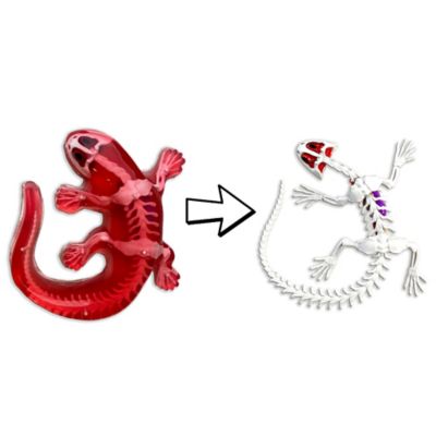 Image showing  Salamander Lab, Synthetic Dissection Kit, STEM Learning Guide, Kids Ages 6+