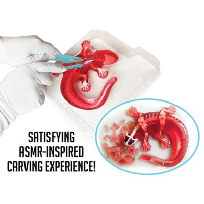 Image showing  Salamander Lab, Synthetic Dissection Kit, STEM Learning Guide, Kids Ages 6+