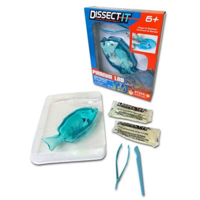 Image showing  Piranha Lab, Synthetic Dissection Kit, STEM Learning Guide, Kids Ages 6+