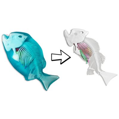 Image showing  Piranha Lab, Synthetic Dissection Kit, STEM Learning Guide, Kids Ages 6+