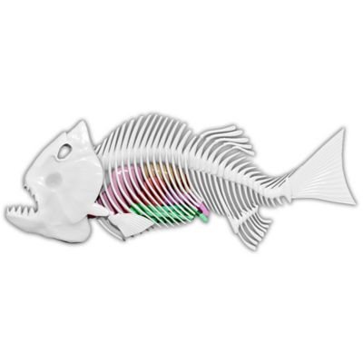 Image showing 7 th Dissect-It Piranha Lab, Synthetic Dissection Kit, STEM Learning Guide, Kids Ages 6+