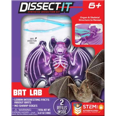 Dissect-It Bat Lab, Synthetic Dissection Kit, STEM Learning Guide, Kids Ages 6+