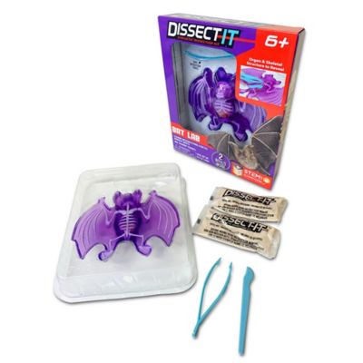 Image showing  Bat Lab, Synthetic Dissection Kit, STEM Learning Guide, Kids Ages 6+