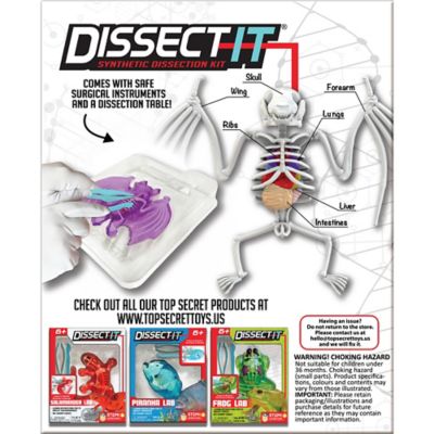 Image showing  Bat Lab, Synthetic Dissection Kit, STEM Learning Guide, Kids Ages 6+