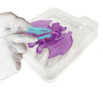 Image showing  Bat Lab, Synthetic Dissection Kit, STEM Learning Guide, Kids Ages 6+