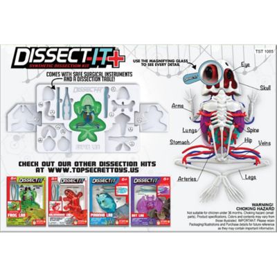 Image showing  Deluxe Super Frog Lab, Synthetic Dissection Kit, STEM Learning Guide, Kids Age 6+