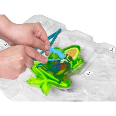 Image showing 7 th Dissect-It Deluxe Super Frog Lab, Synthetic Dissection Kit, STEM Learning Guide, Kids Age 6+