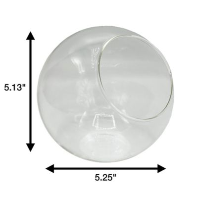 Image showing  Glass Terrarium Classic 5 in. Gardening Air Planter