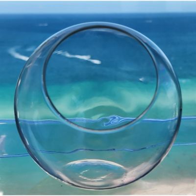 Image showing  Glass Terrarium Classic 5 in. Gardening Air Planter