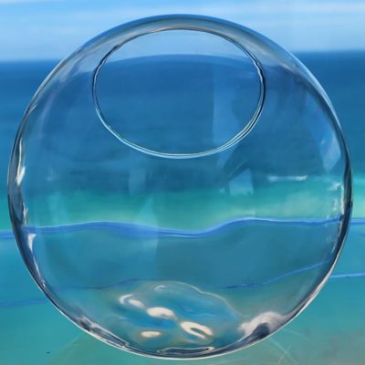 Image showing 5 th Unique Gardener Glass Terrarium Classic 5 in. Gardening Air Planter