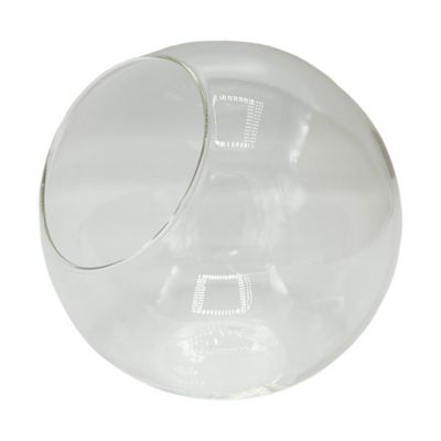 Image showing 6 th Unique Gardener Glass Terrarium Classic 5 in. Gardening Air Planter