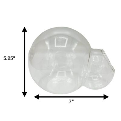 Image showing  Glass Terrarium Double Sphere Gardening Air Planter