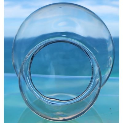 Image showing  Glass Terrarium Double Sphere Gardening Air Planter