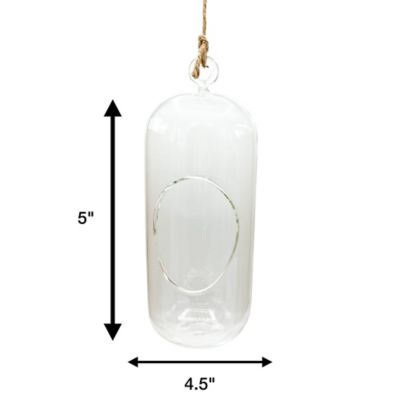 Image showing  Glass Terrarium Carefree Capsule Hang & Stand Planter