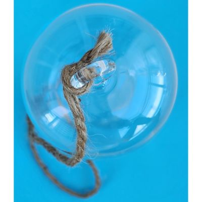 Image showing  Glass Terrarium Carefree Capsule Hang & Stand Planter