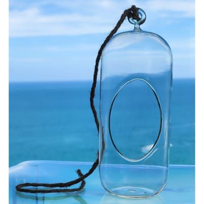 Image showing  Glass Terrarium Carefree Capsule Hang & Stand Planter