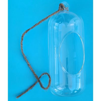 Image showing 6 th Unique Gardener Glass Terrarium Carefree Capsule Hang & Stand Planter