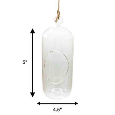 Image showing  Glass Terrarium 2 pk. Carefree Capsule Gardening Planters