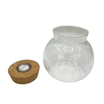 Image showing  Glass Terrarium 2 pk. 4 in. With Cork & 3 LEDs Light-Up Cork, Gardening Planter
